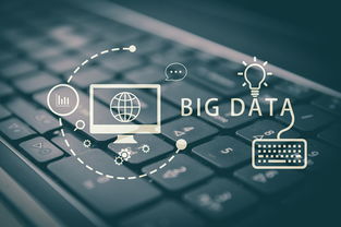 大数据营销 现代化营销方式的核心引擎与服务体系